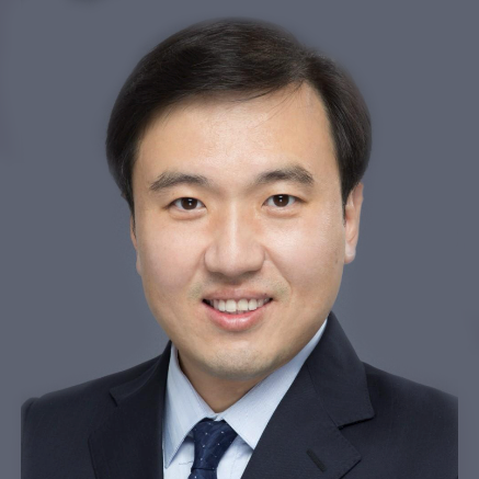 Prof. Yi Yang